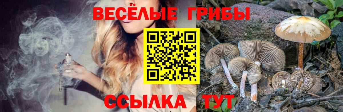Псилоцибиновые грибы прущие грибы  Вход с VPN  цены наркотик  Орёл  Псилоцибиновые грибы ЛСД 